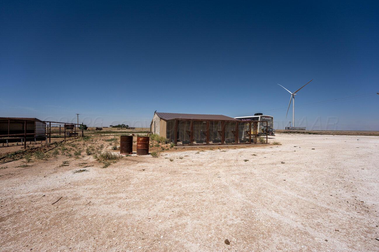 693 County Road 24 Muleshoe, TX 79347 - Photo 46 of 98 Kennel