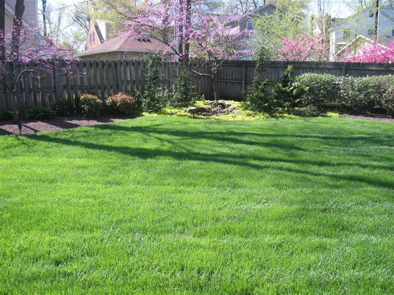 156 Chenault Road Lexington, KY 40502 - Photo 5 of 23 Photo 5