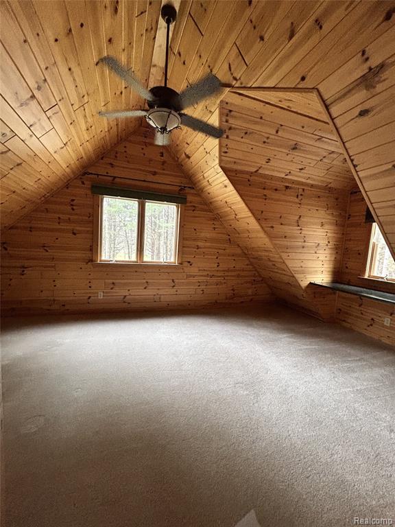 4636 North Hope Road Hope, MI 48628 - Photo 25 of 32
