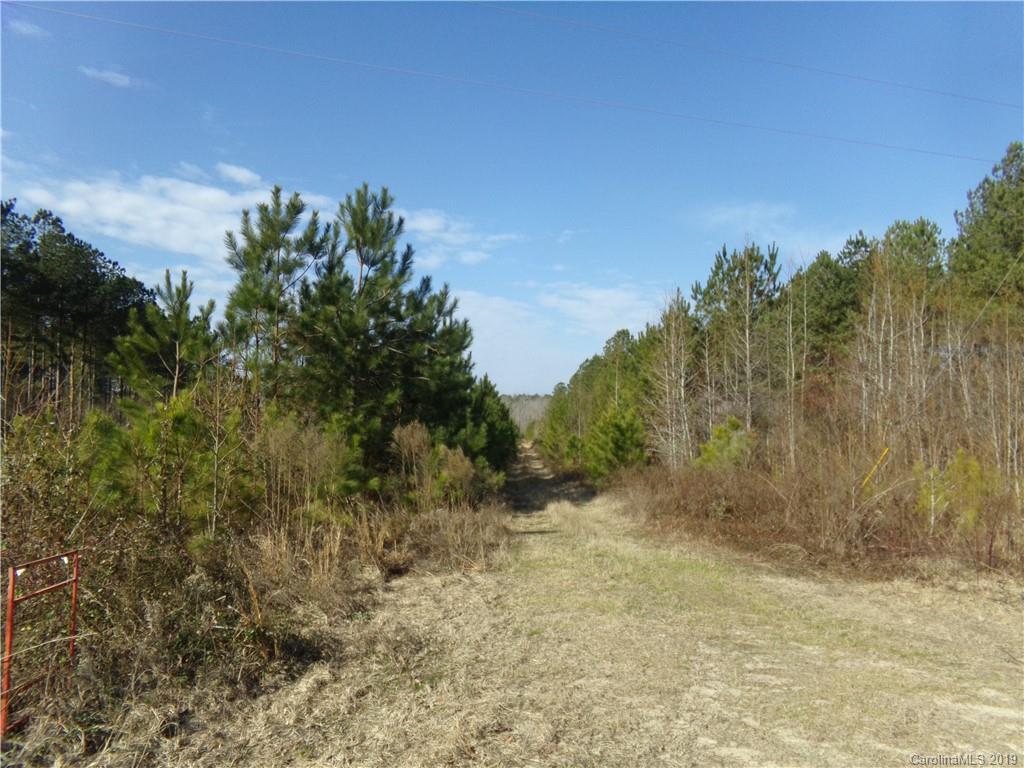 Tbd Ross Moore Road Ruby, SC 29741 - Photo 1 of 6 a view of a yard with trees in front of it