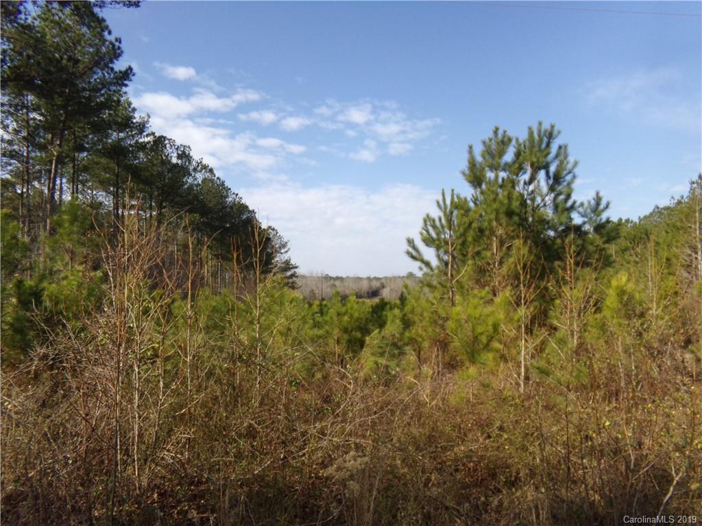 Tbd Ross Moore Road Ruby, SC 29741 - Photo 2 of 6 a view of a bunch of trees
