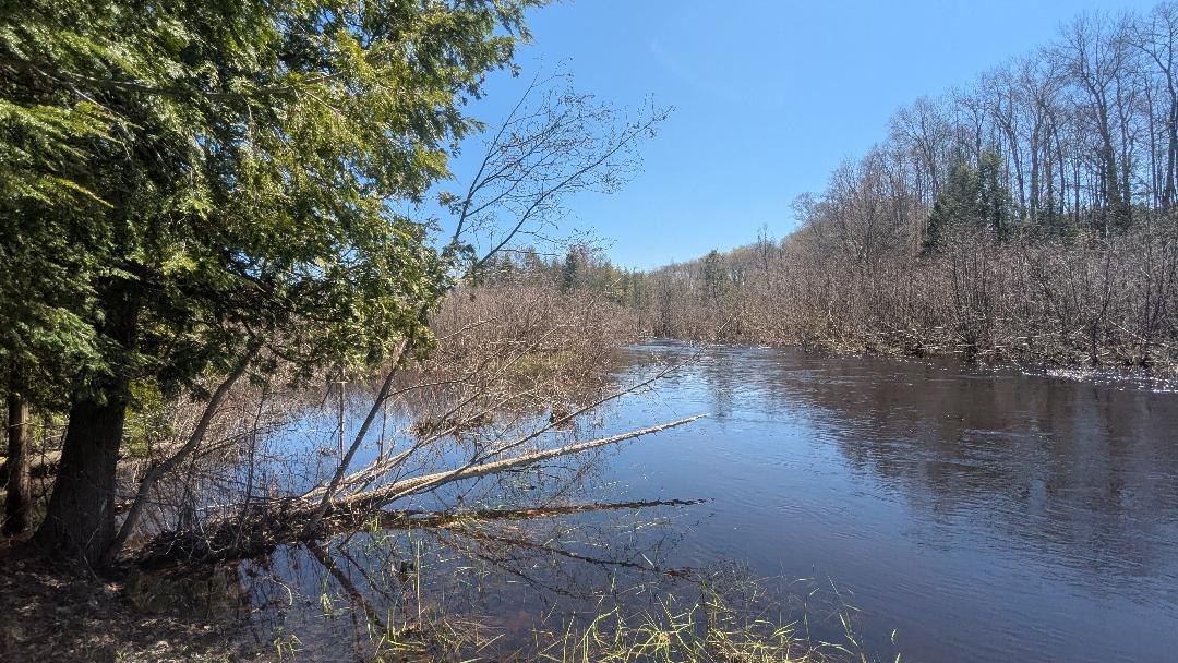 1051 West White Road Free Soil, MI 49411 - Photo 2 of 48 269' frontage on Big Sauble River