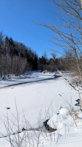 $599,900 | 1051 West White Road, Free Soil, MI 49411