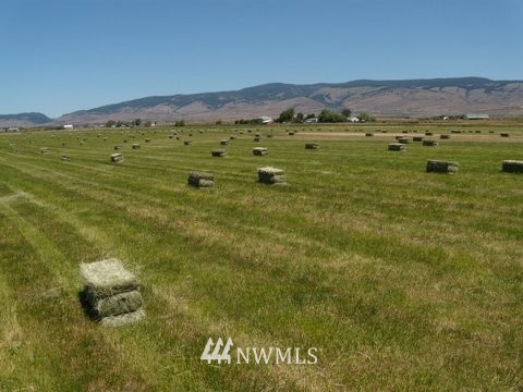 4930 Smithson Road Ellensburg, WA 98926 - Photo 11 of 25 Gallery Image 11