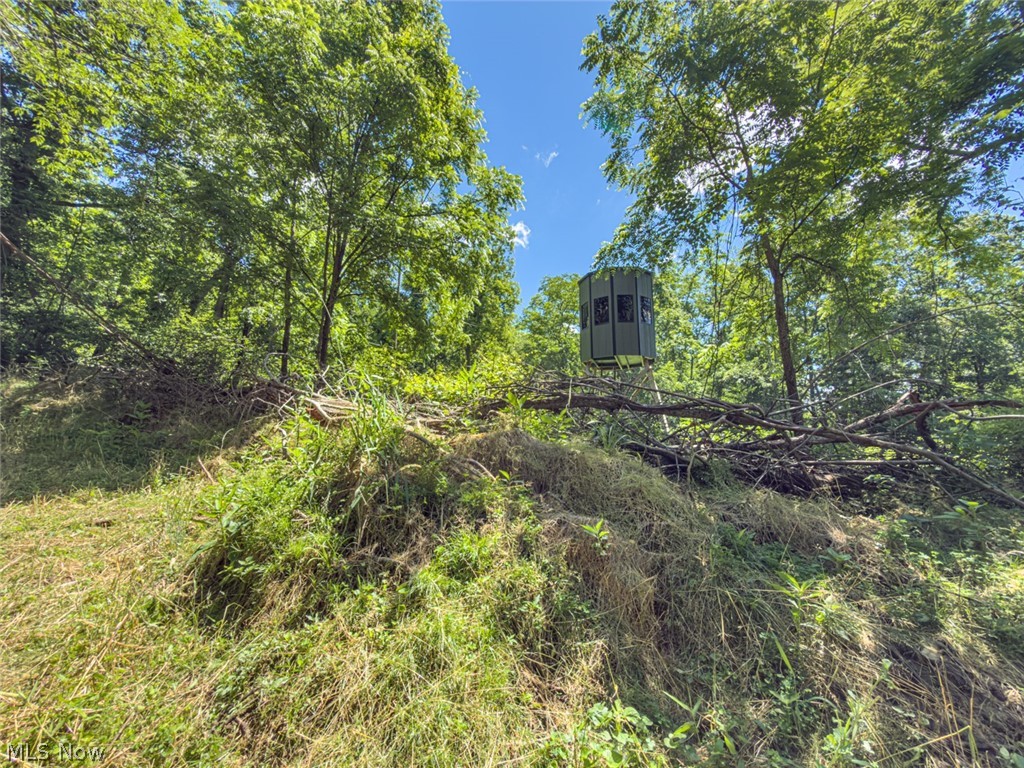 6985 Brush Run Road Cambridge, OH 43725 - Photo 47 of 50