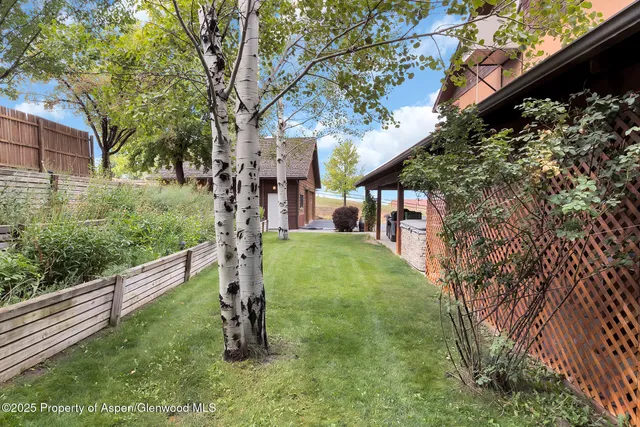 a view of a garden with large trees