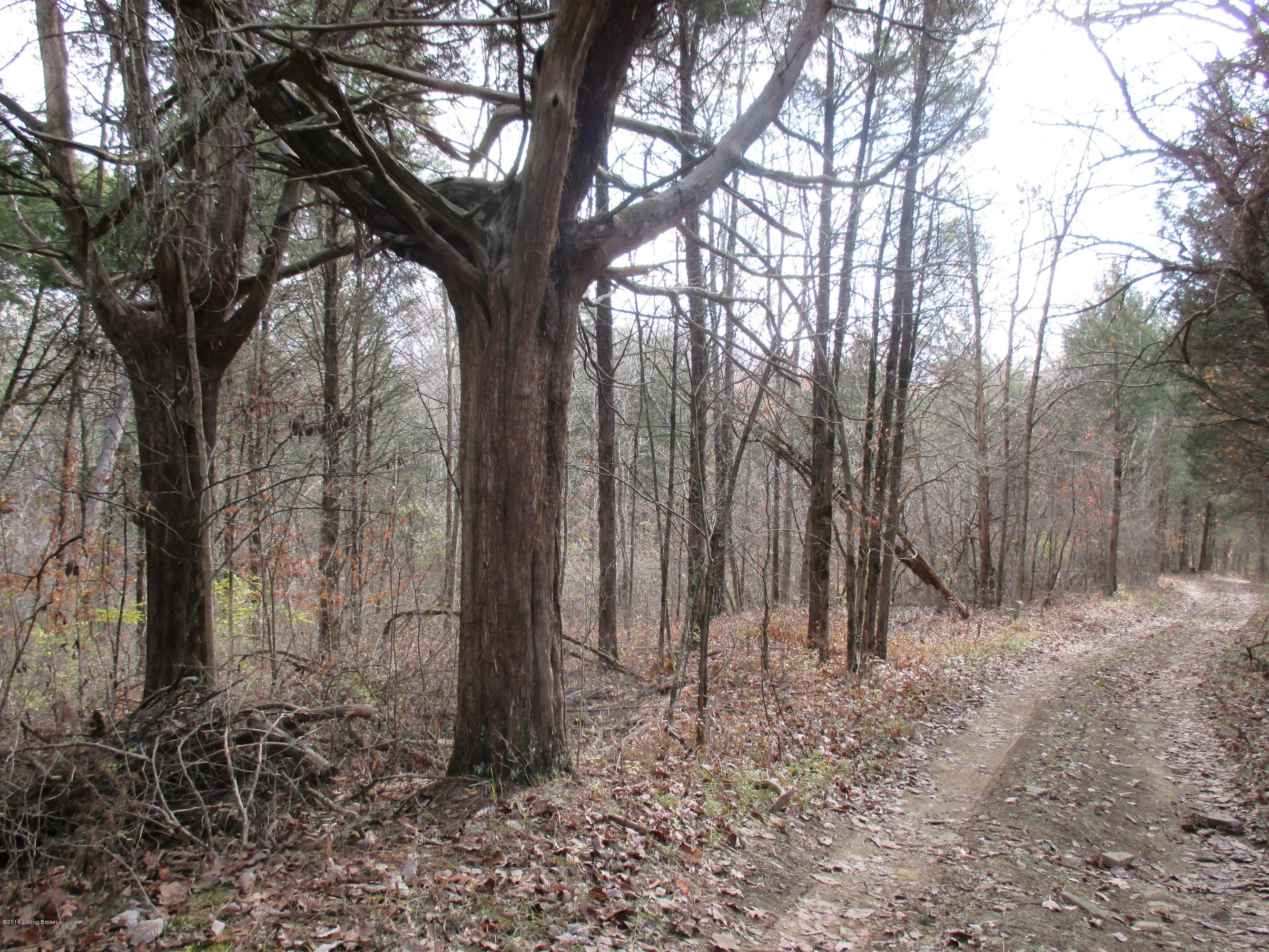 Mudd Ag Mudd Ag Division, Unit 3 Springfield, KY 40069 - Photo 6 of 7 Mudd Ag Tr3