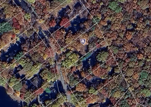 a view of a plant in a yard