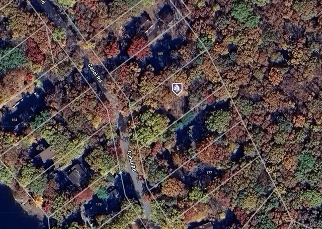 a view of a plant in a yard