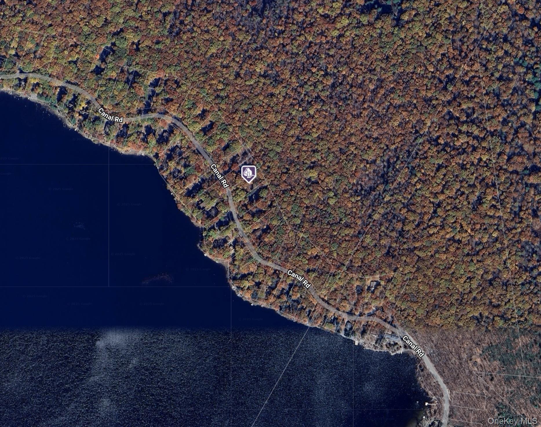 169 Canal Road Wurtsboro, NY 12790 - Photo 4 of 4 a view of a plant in a yard