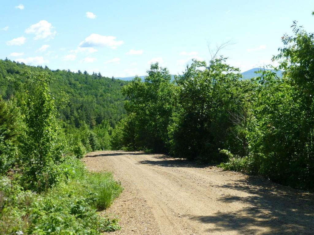 Tbd Hanscomb Road Carthage, ME 04224 - Photo 17 of 25 Photo