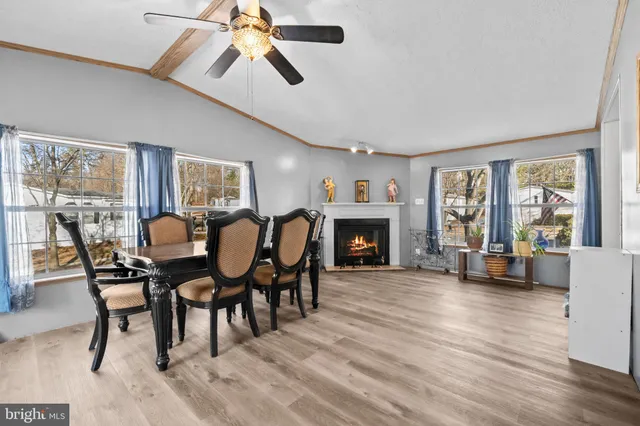 a view of a livingroom with furniture window and outside view