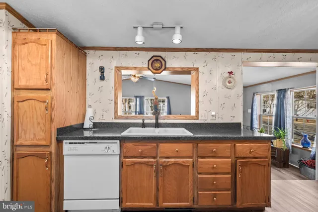 a view of cabinets a sink and a dishwasher with wooden floor