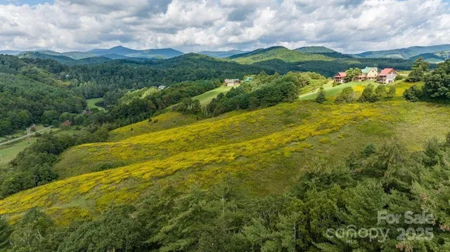 a view of a big yard with lots of green space