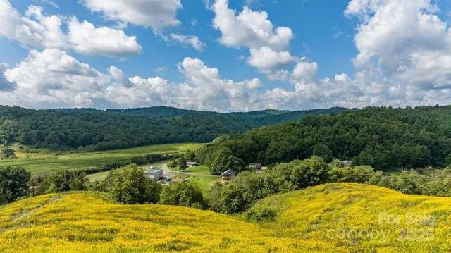 a view of an outdoor space and yard