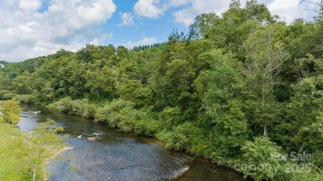 a view of a yard with plants and a bench