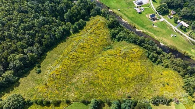 a large body of water with lots of trees