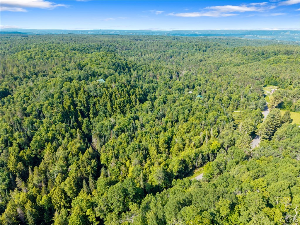Fish Creek Road Greig, NY 13345 - Photo 7 of 14