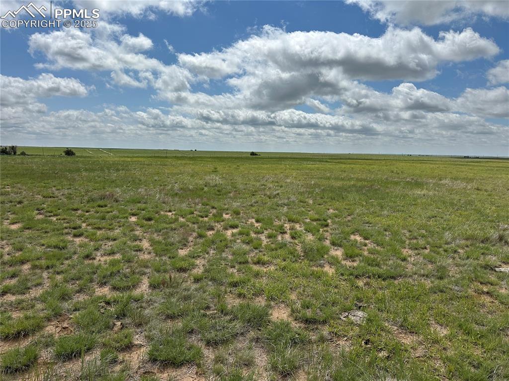 0 Boone Road Yoder, CO 80864 - Photo 4 of 5 a view of a big yard with lots of bushes