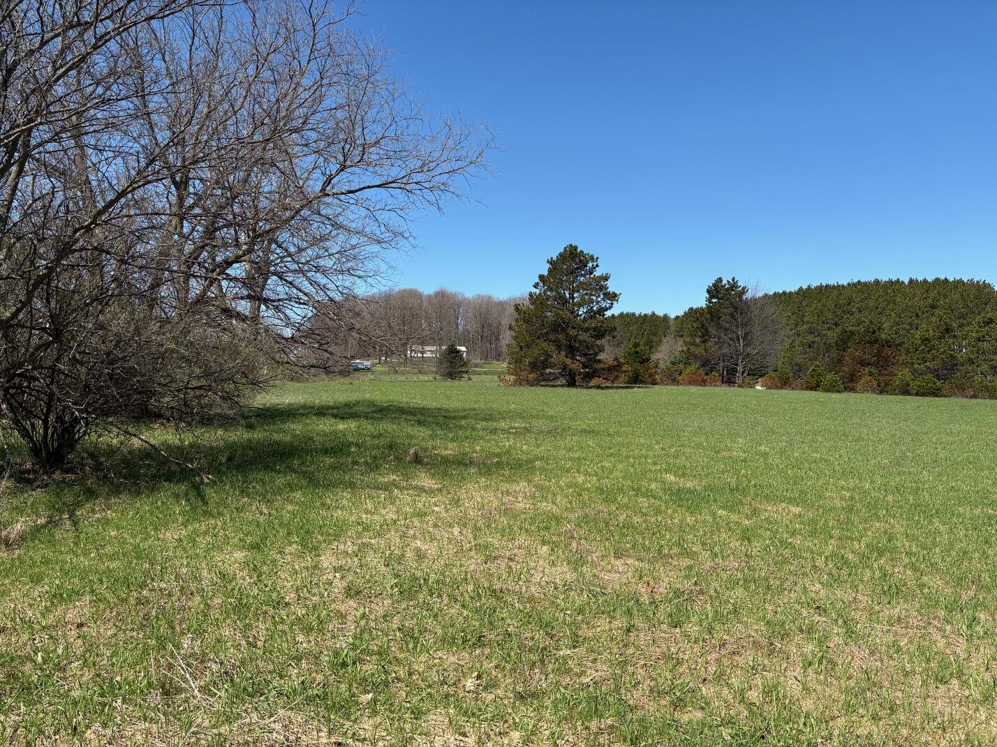 V/l Spruce Ridge Road, Unit 13 Bear Lake, MI 49614 - Photo 11 of 17 IMG_8368