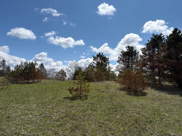 $74,000 | V/l Spruce Ridge Road, Unit 13, Bear Lake, MI 49614
