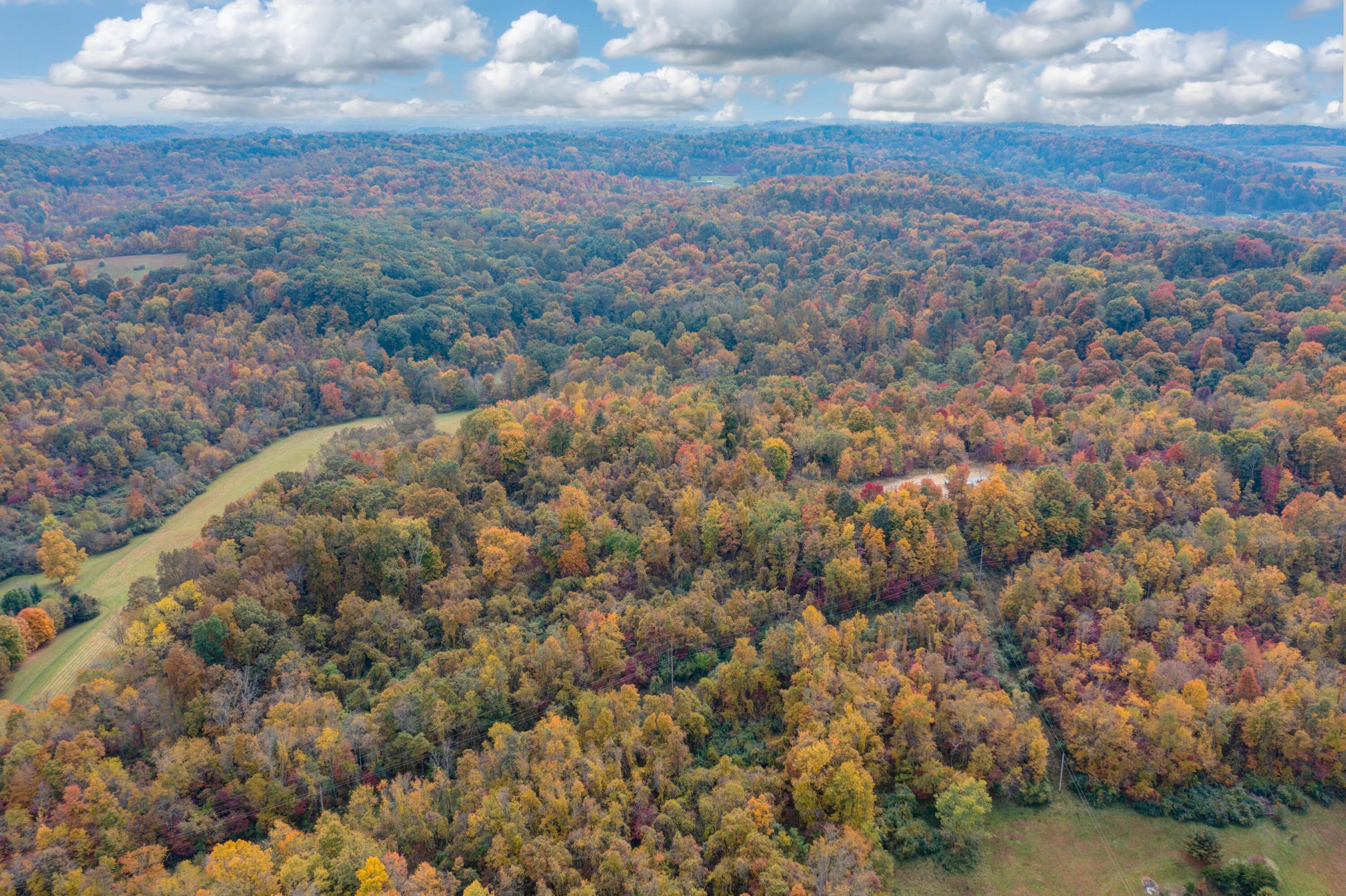 13470 Dodds Road Southeast Newark, OH 43056 - Photo 3 of 53 13470DoddsRd-Aerial-9