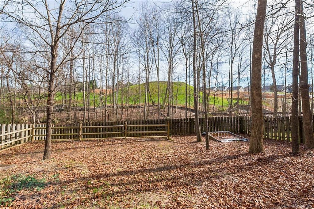 159 Sea Island Boulevard Fort Mill, SC 29708 - Photo 14 of 16