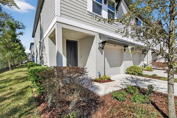a view of a backyard with plants and large tree
