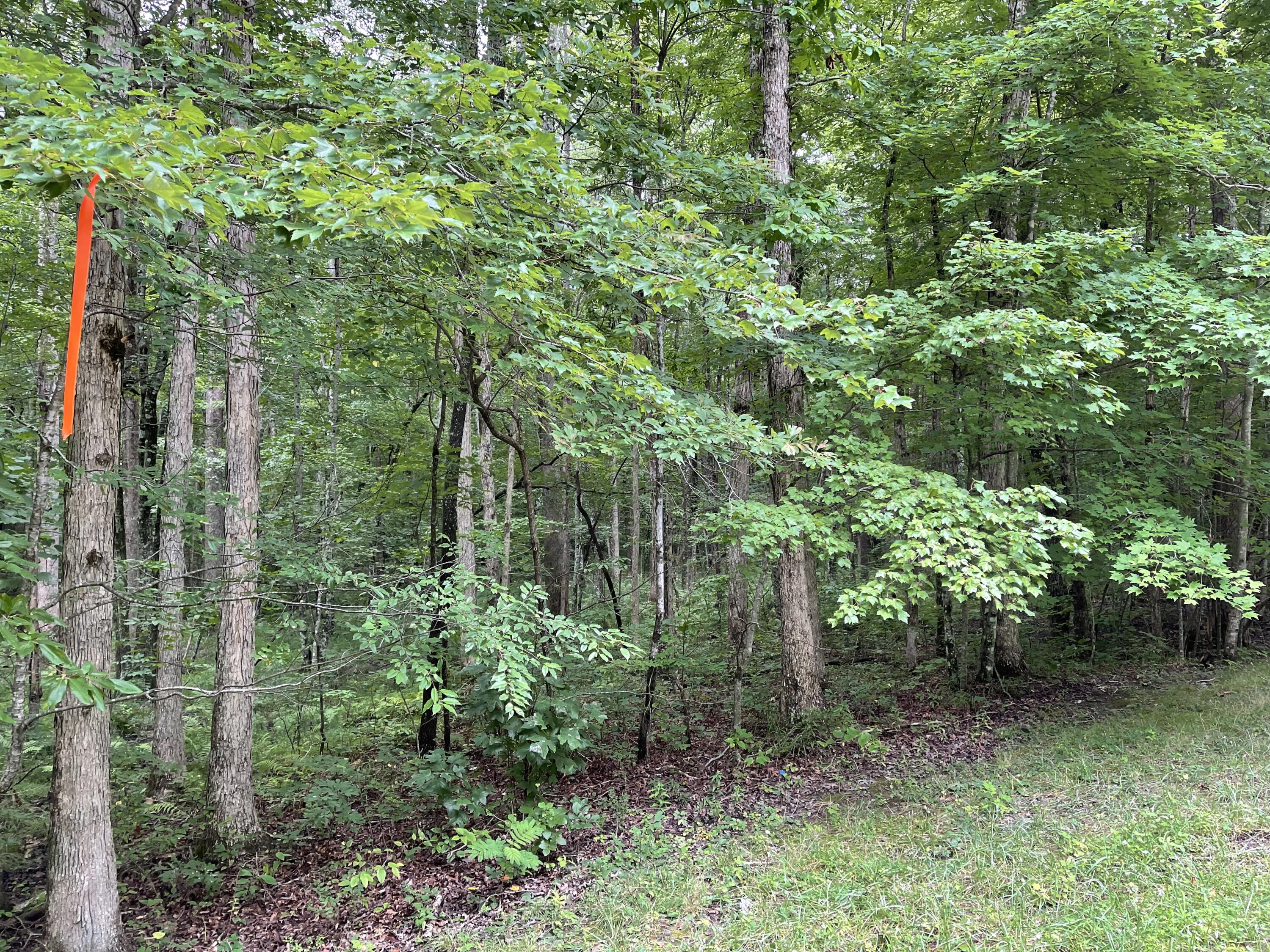 Huckleberry Road, Unit 5 Monterey, TN 38574 - Photo 1 of 3 IMG_1728