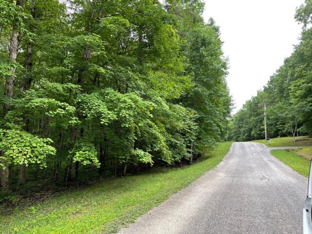 Huckleberry Road, Unit 5 Monterey, TN 38574 - Photo 2 of 3 IMG_1729 (1)