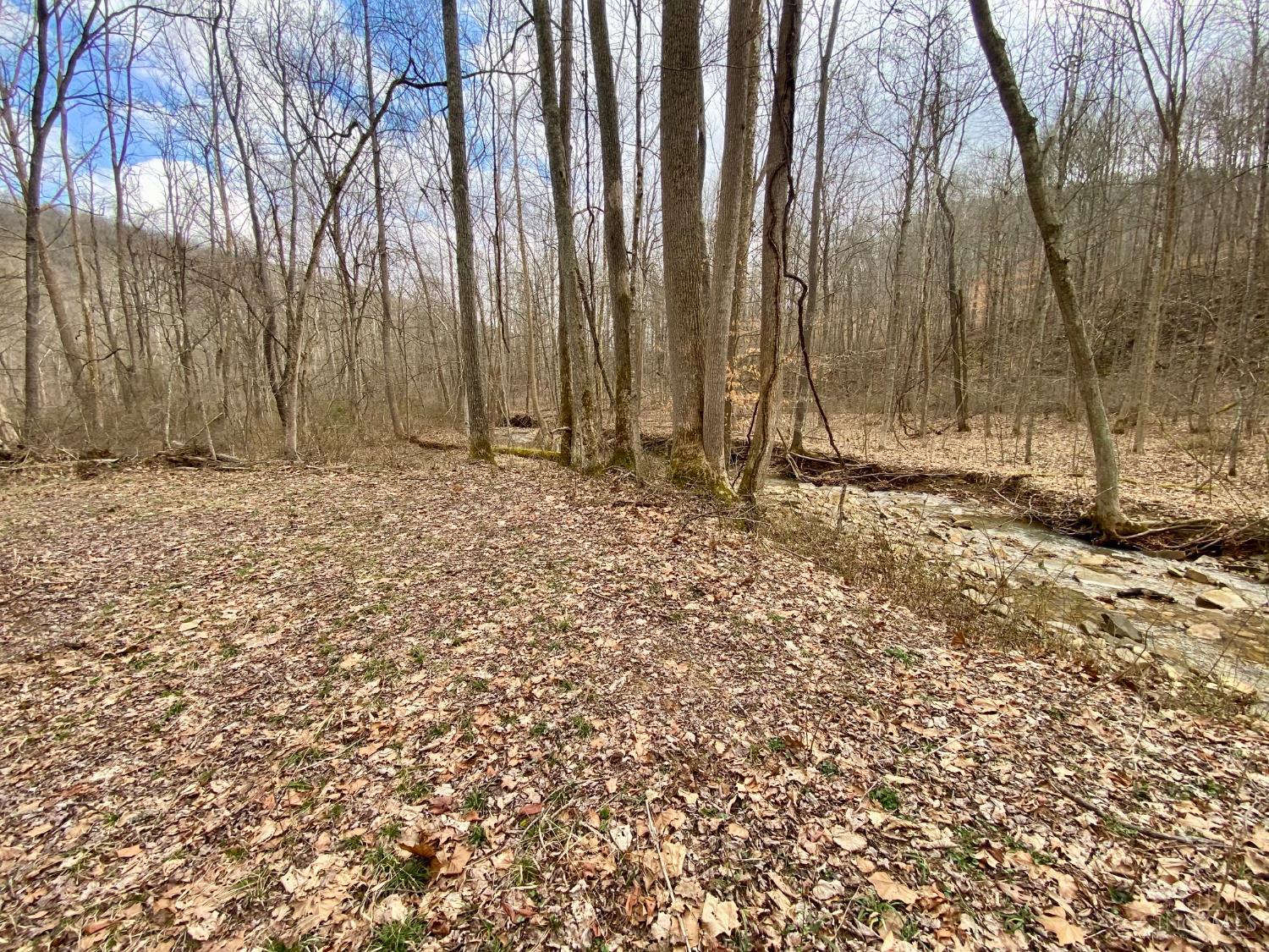 Ac Beech Fork Road Peebles, OH 45660 - Photo 3 of 49