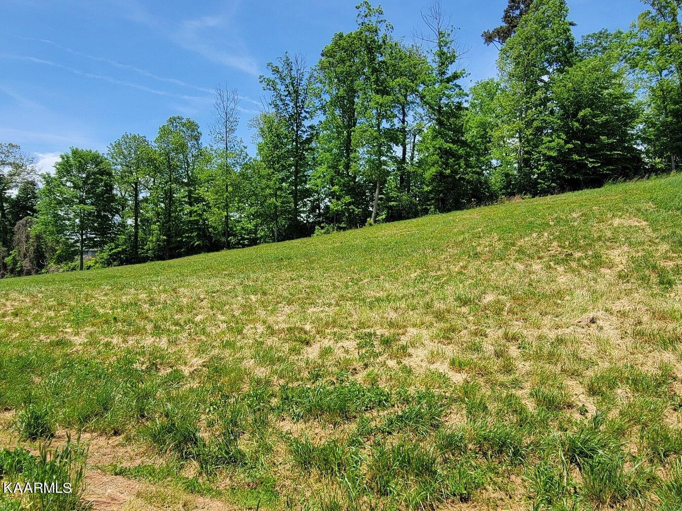 2924 Samples Road Louisville, TN 37777 - Photo 5 of 11 Gallery Image 5