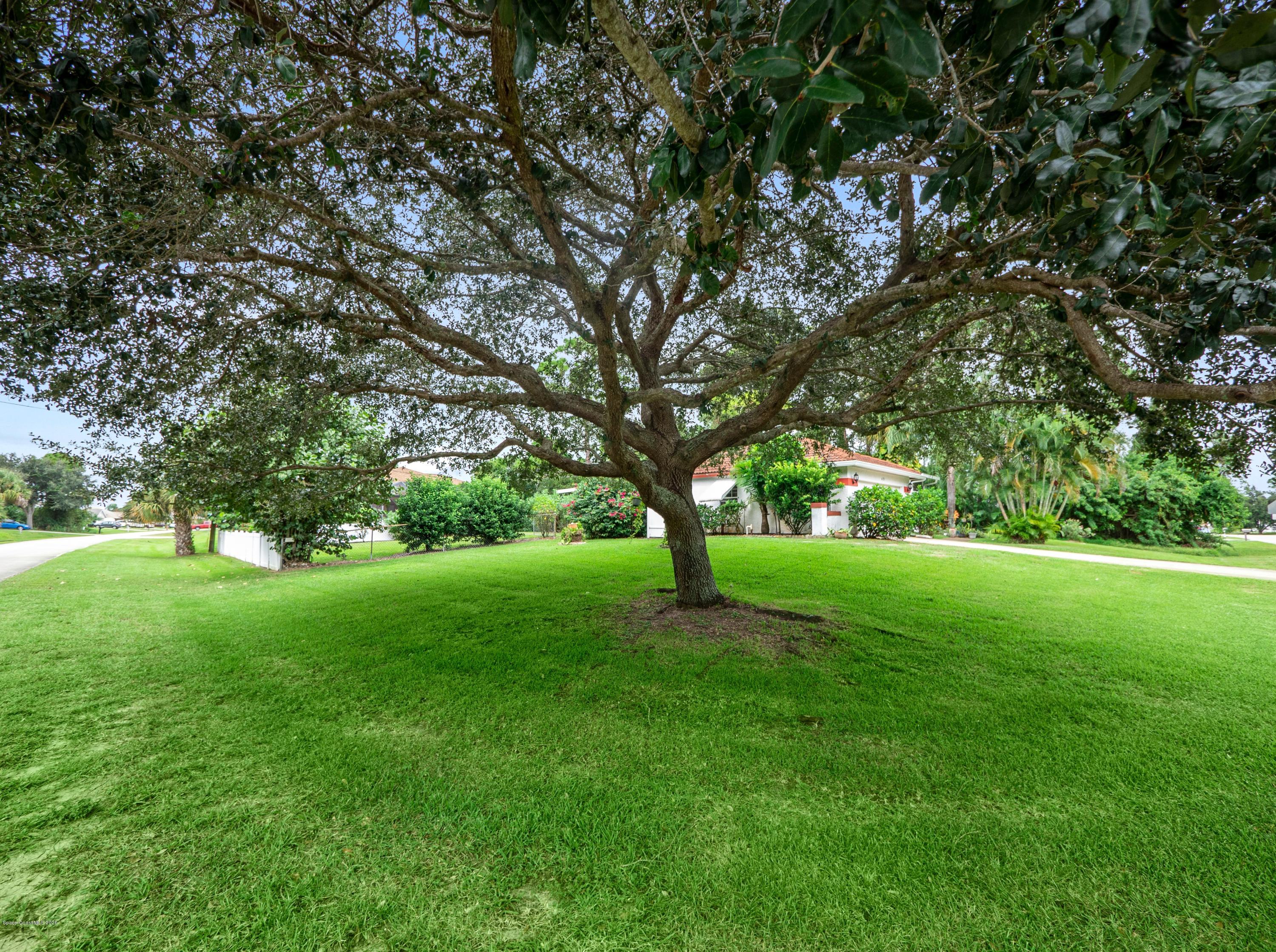 421 Raleigh Road Southeast Palm Bay, FL 32909 - Photo 4 of 25 P1430012-rzd