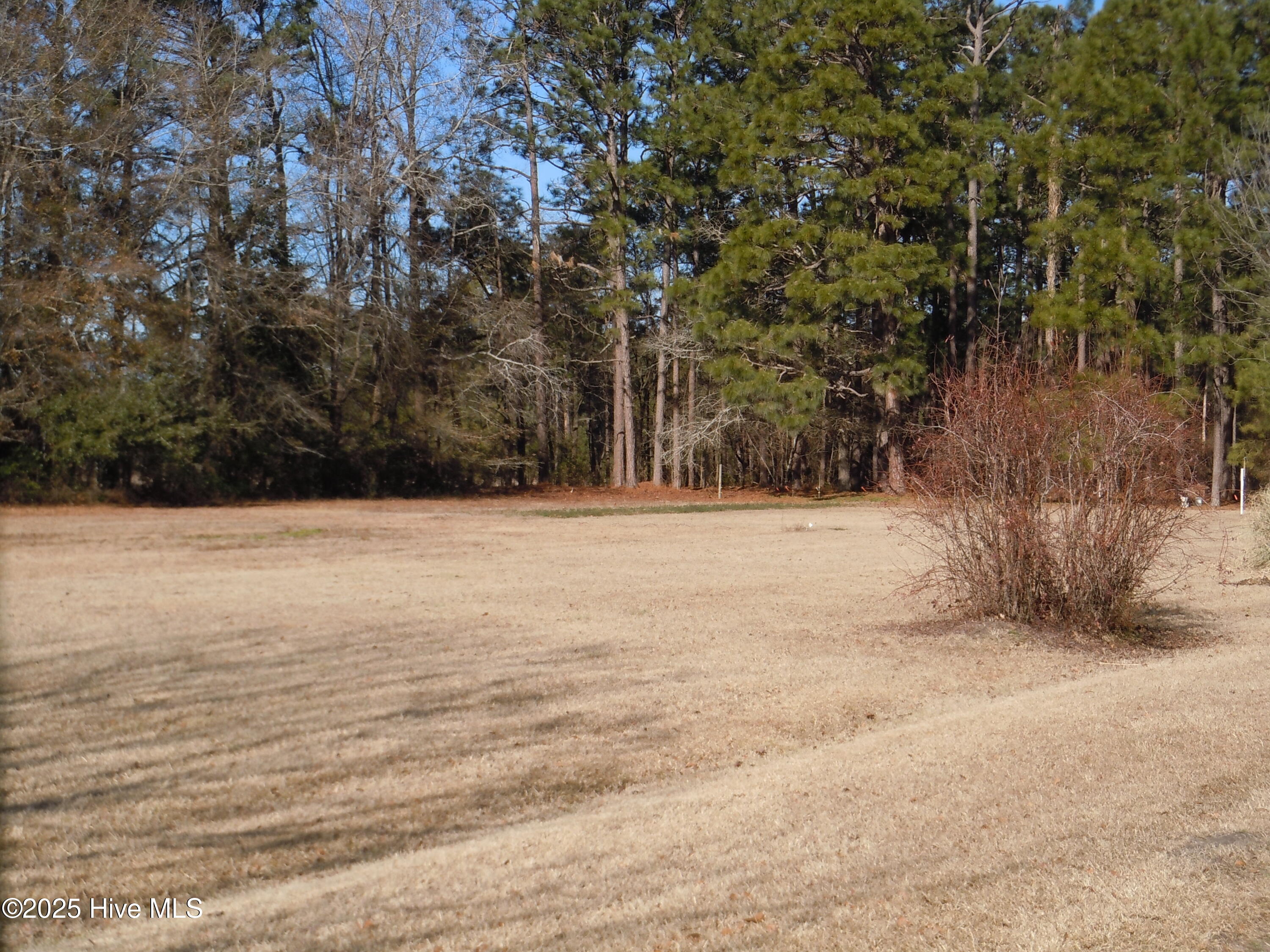 1070 Bee Tree Road Chadbourn, NC 28431 - Photo 79 of 85 DSCN9529