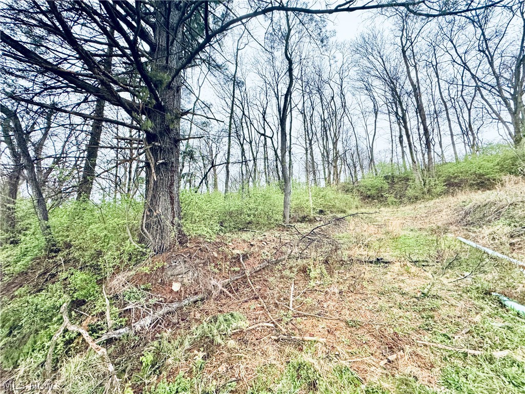 Saylor Road Morgantown, WV 26501 - Photo 2 of 11 BEGINNING OF PARCEL AT ROAD WHERE SIGN IS