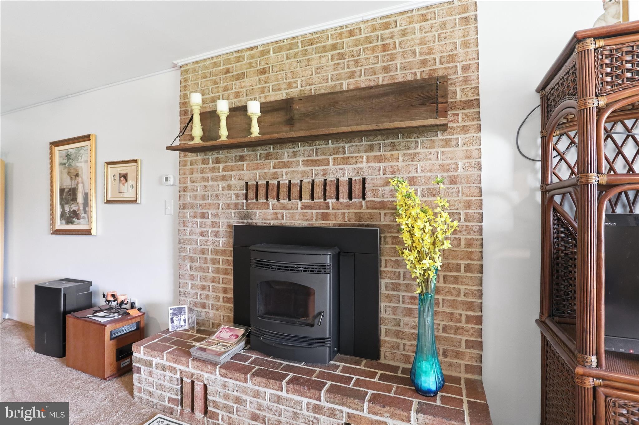 19627 Cool Hollow Road Hagerstown, MD 21740 - Photo 29 of 53 Brick heart w/pellet stove