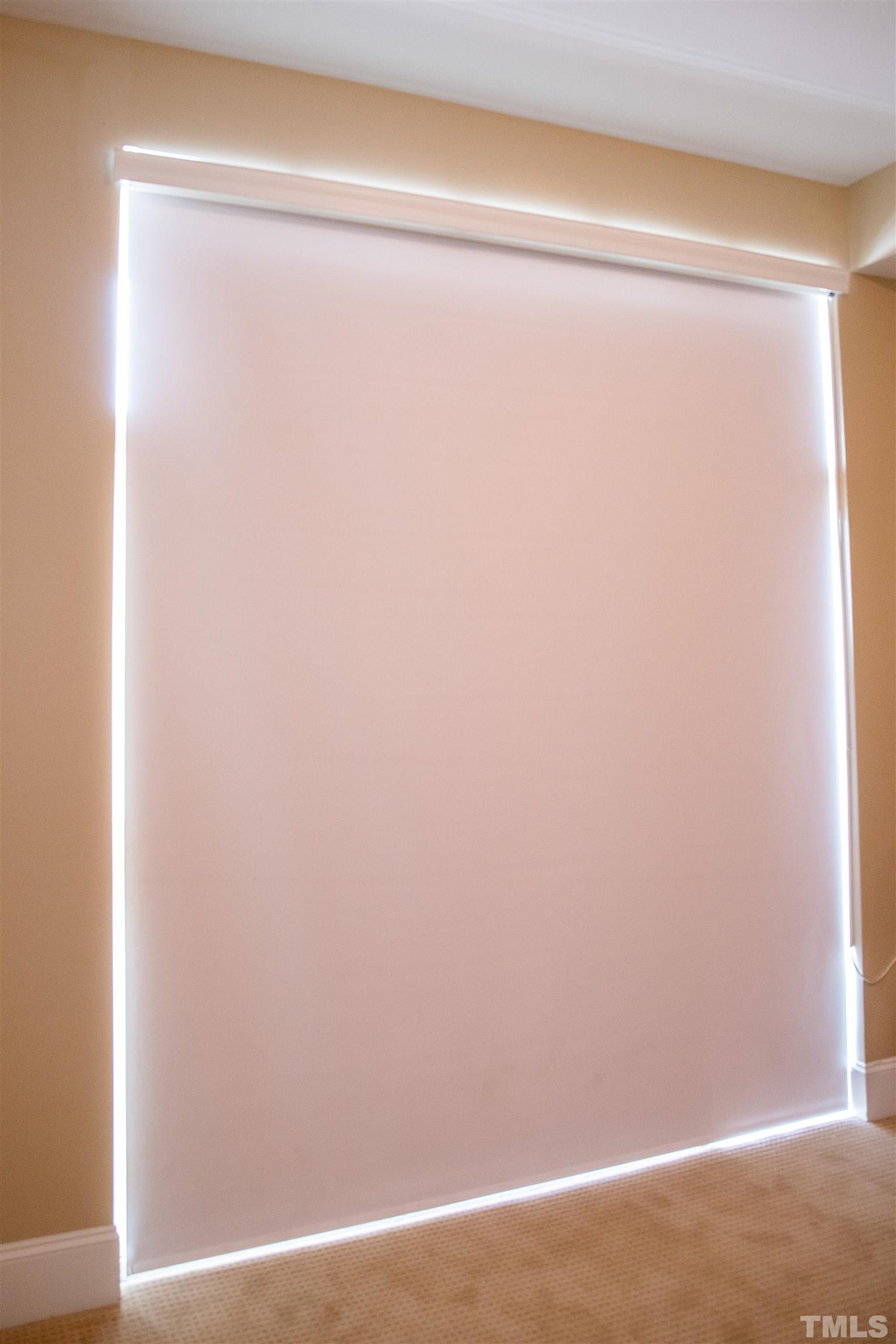 400 West North Street, Unit 820 Raleigh, NC 27603 - Photo 10 of 20