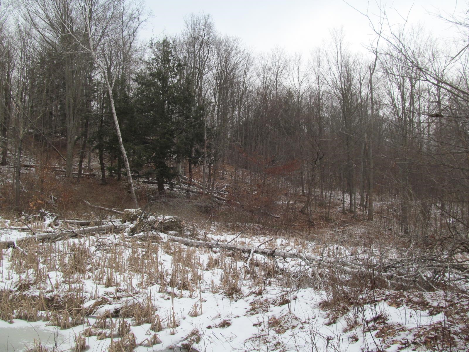 10-acres North 23 Road Mesick, MI 49668 - Photo 1 of 18