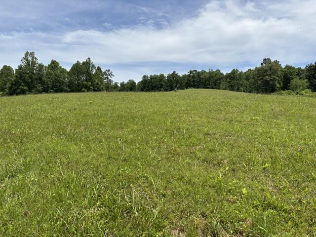 1398 Begley Road South McKee, KY 40447 - Photo 12 of 12 12