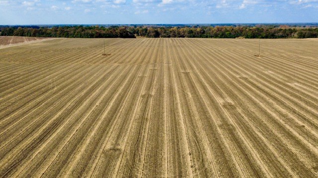 Undisclosed Address Headland, AL 36345 - Photo 12 of 36