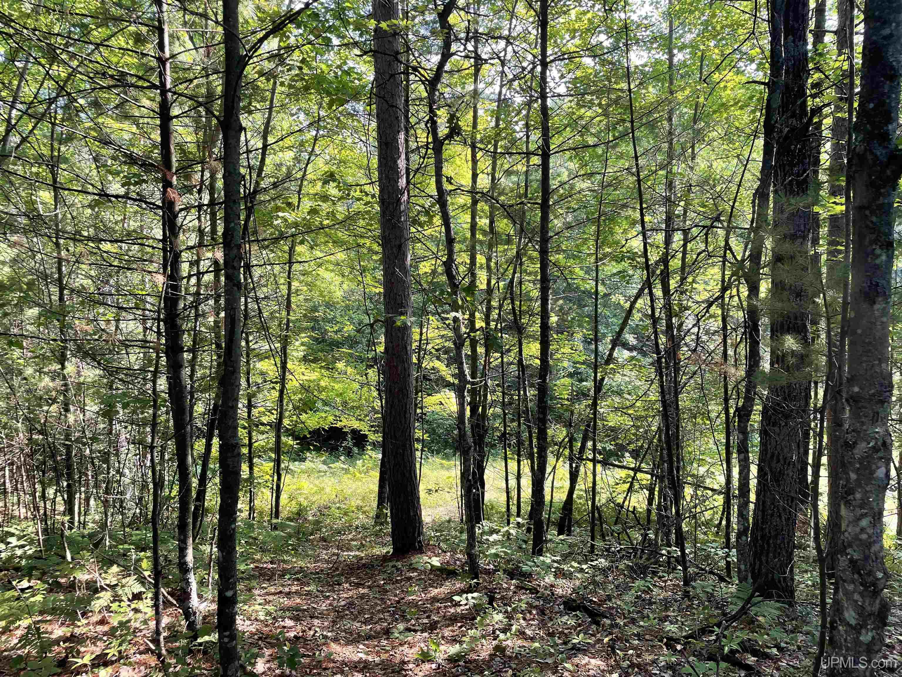 W11894 Jones Road Athelstane, WI 54104 - Photo 21 of 44