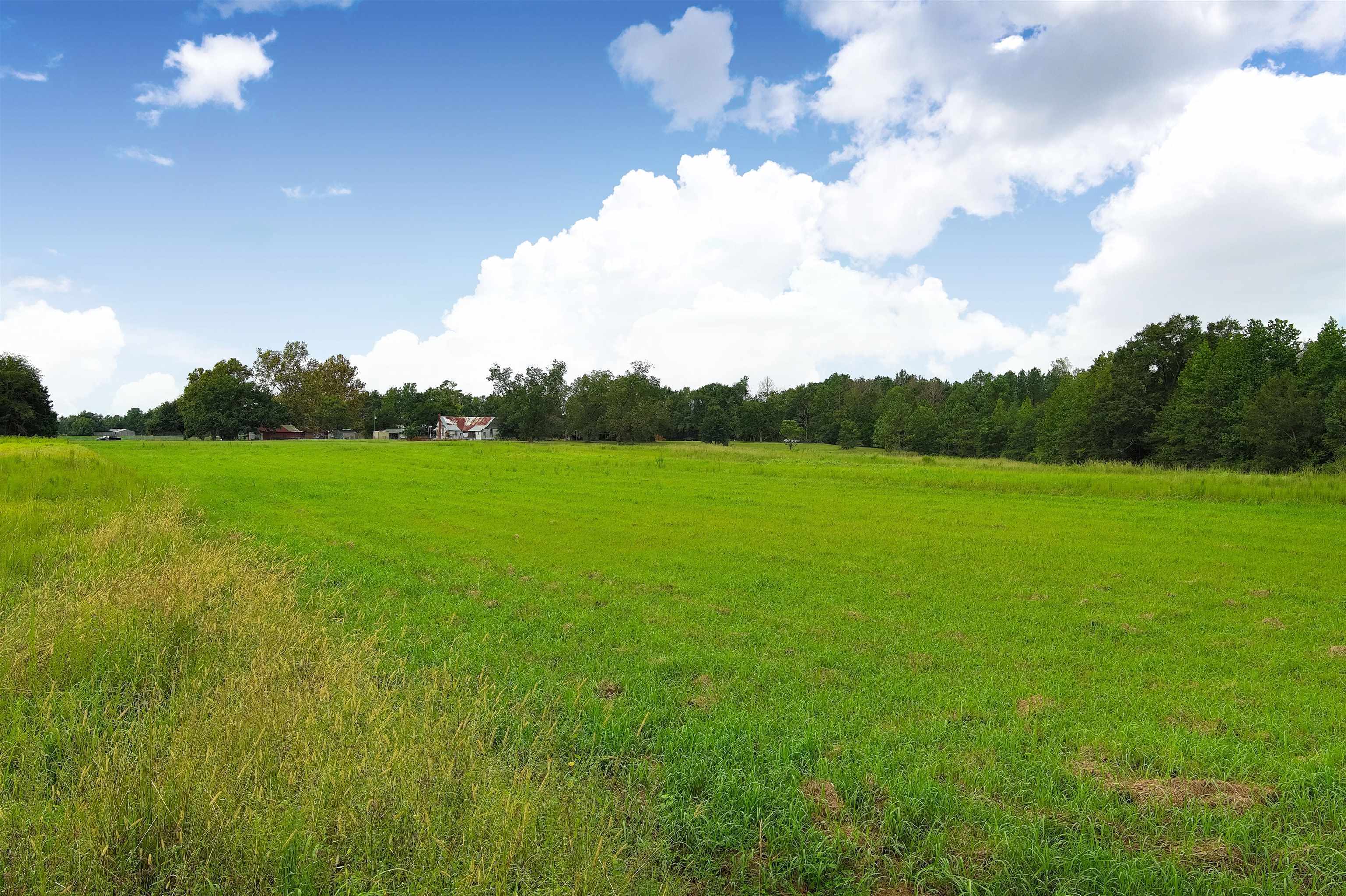 1147 Mack Pond Road Atmore, AL 36502 - Photo 21 of 40 View of nature with a rural view