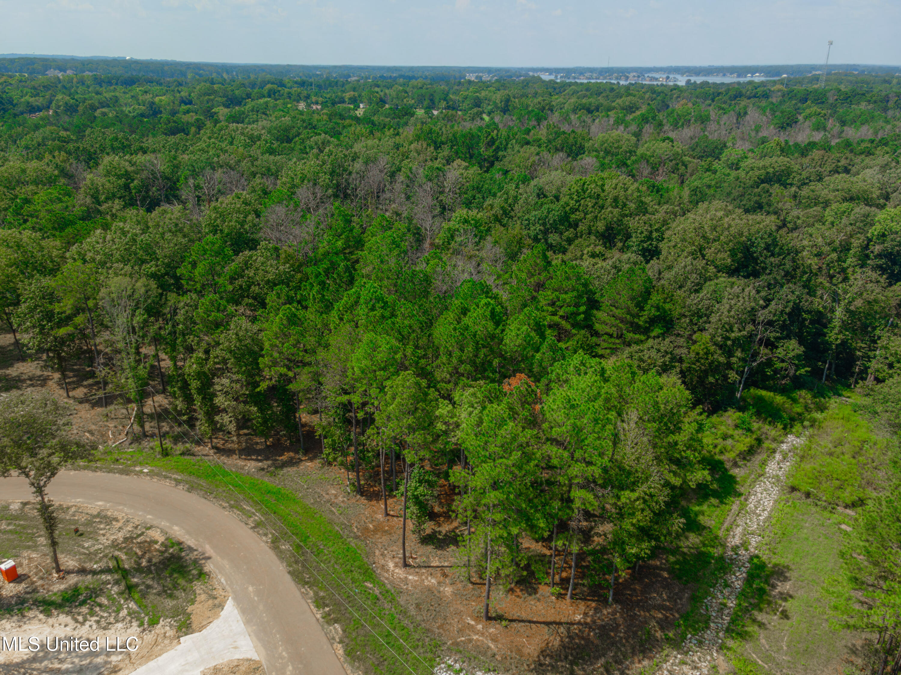 167 Hunter's Cove Madison, MS 39110 - Photo 2 of 9 DJI_0127