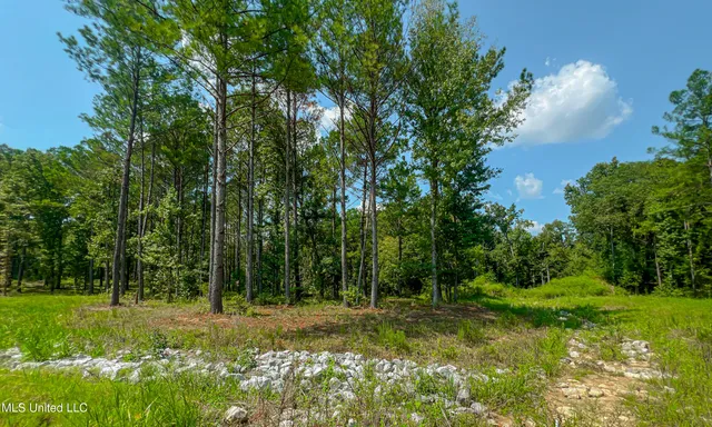 $179,500 | 167 Hunter's Cove, Madison, MS 39110