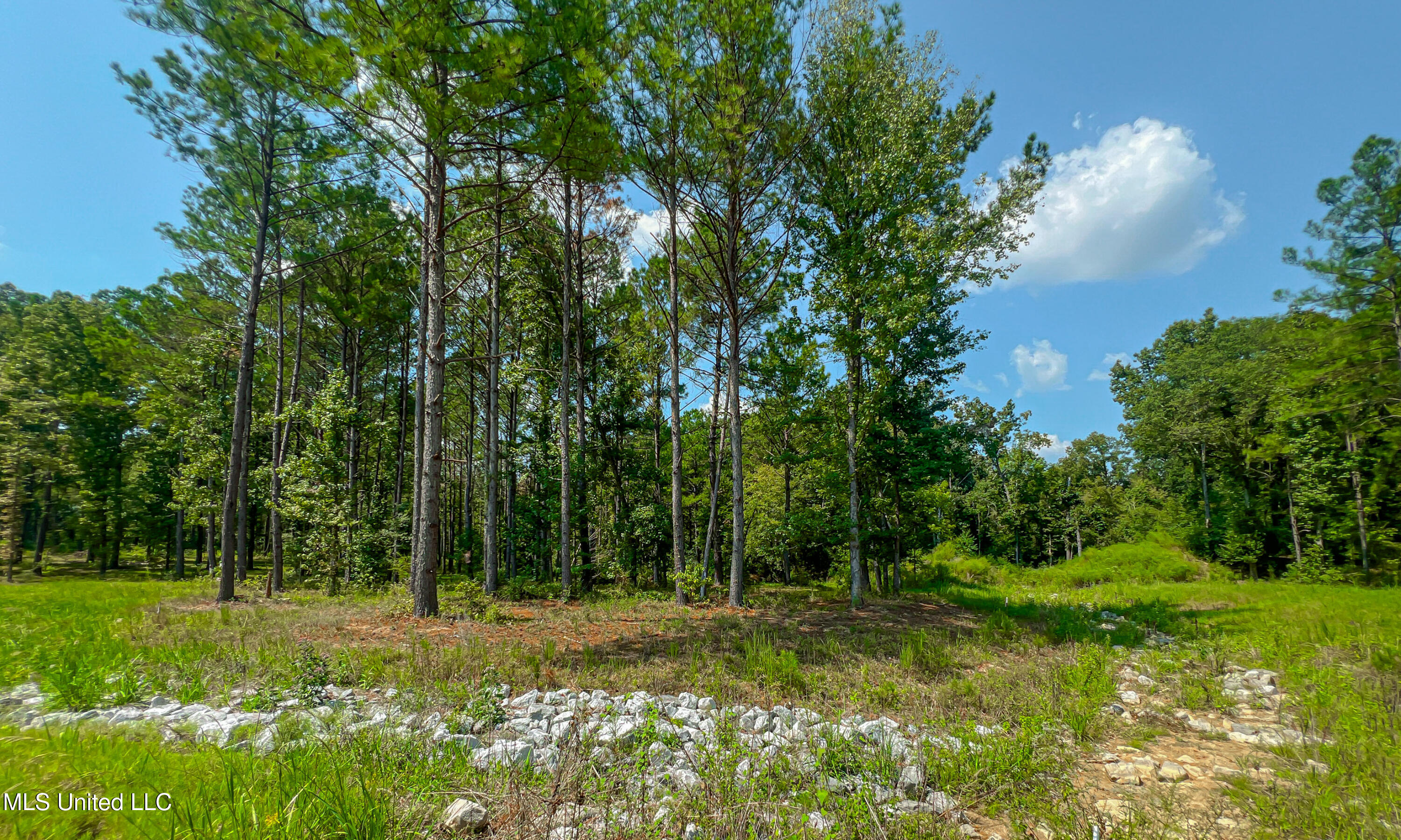 167 Hunter's Cove Madison, MS 39110 - Photo 3 of 9 IMG_7177 (1)