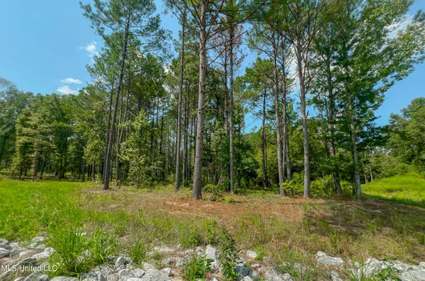 $179,500 | 167 Hunter's Cove, Madison, MS 39110