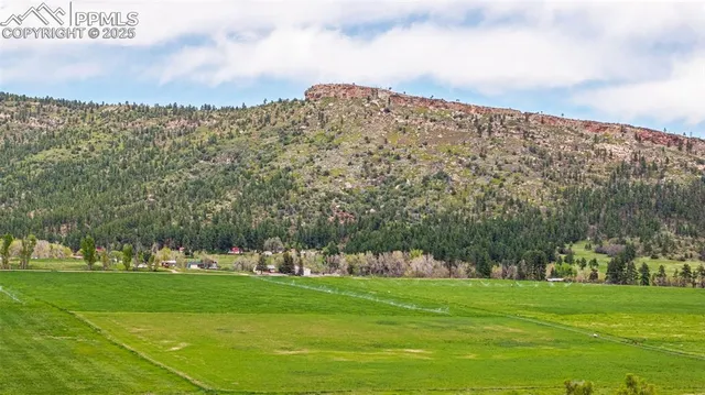 a view of a lush green hillside and houses