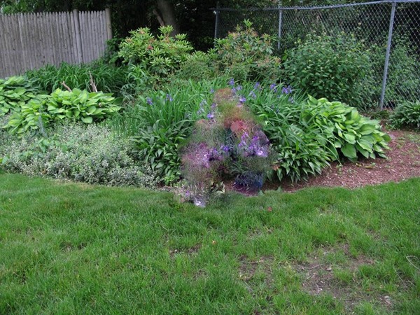 6 Robinson Road Woburn, MA 01801 - Photo 9 of 10 a view of a garden with plants and wooden fence