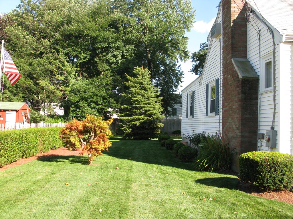6 Robinson Road Woburn, MA 01801 - Photo 10 of 10 a view of a backyard with plants and a tree