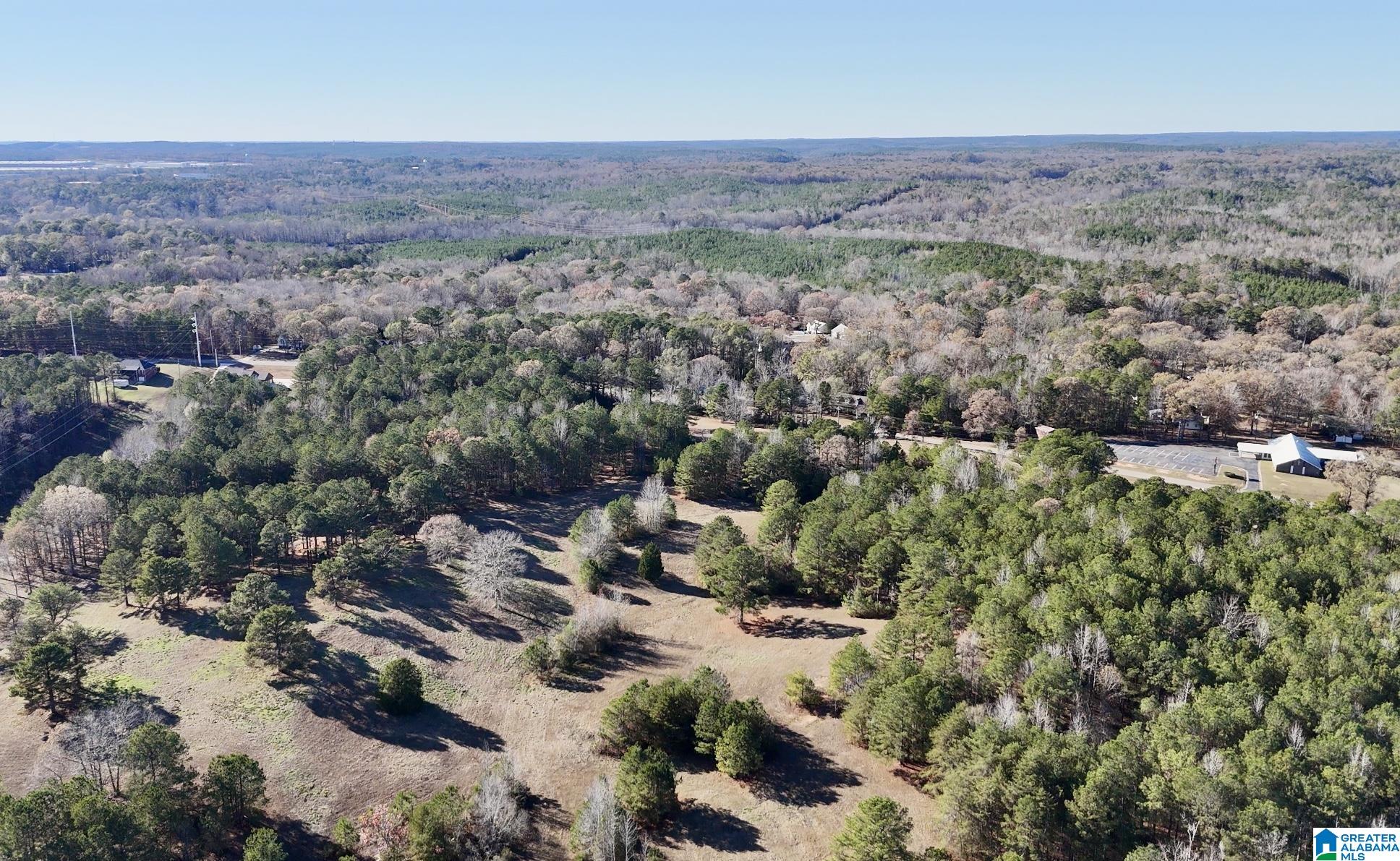 10000 Eastern Valley Road, Unit 10000 West Blocton, AL 35184 - Photo 5 of 21